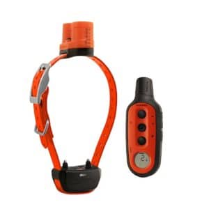Collar de becada con adiestramiento Delta Upland XC