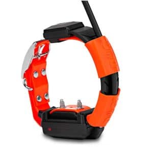 Collar adicional Dogtrace X30T