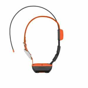 Collar Garmin T20