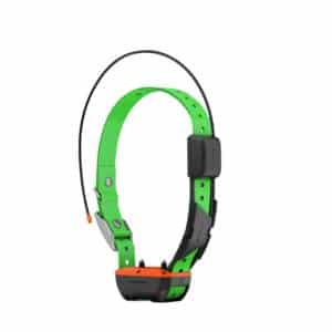 Collar Garmin TT25